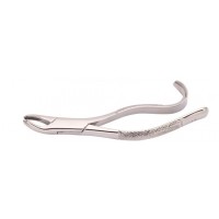 Woodpecker Extracting Forcep 15